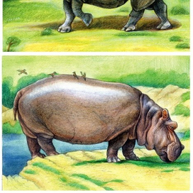 У нас, возможно, плохое зрение, но при наших габаритах это и проблема-то не наша.