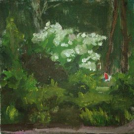 Лето в сквере