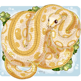 Королевский питон и клевер