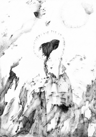 лето. папоротник