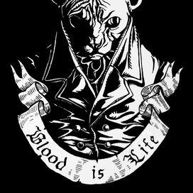 Носферату кот