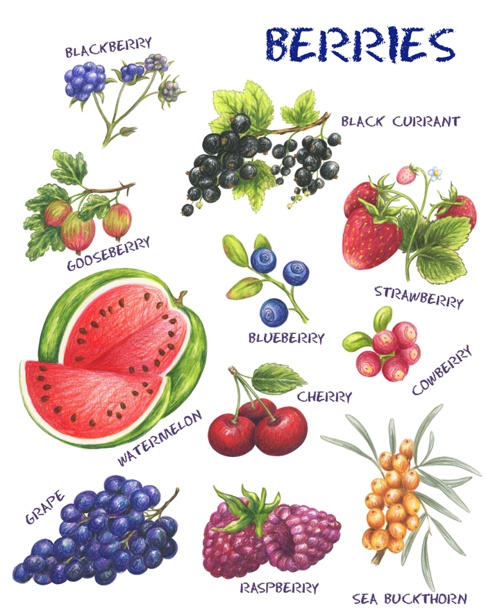 Ягоды