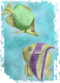 Рыбки (раскрашенные)