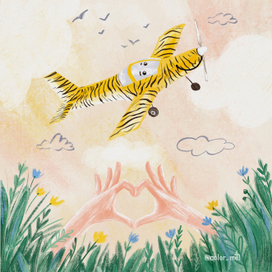 История про маленький самолёт Тигру