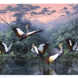 Конкурс красоты