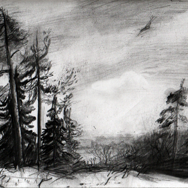 у Вифанских прудов в Сергиевом Посаде