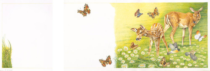 Иллюстрации к книге "Бемби"