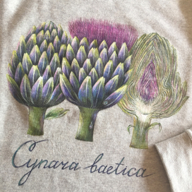 Рисунок для принта "Артишоки"