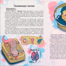 Разворот книги