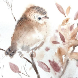 Нахохлился