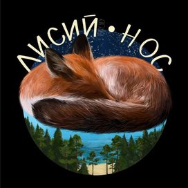 Спящая лиса 