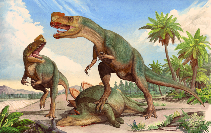 Kileskus aristotocus