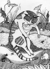 Кошка моется в траве