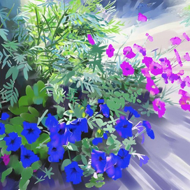 Цветы на даче