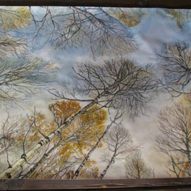 Березовая роща