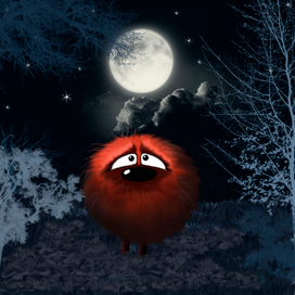 Ночь в лесу