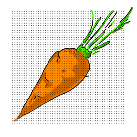 Carrot