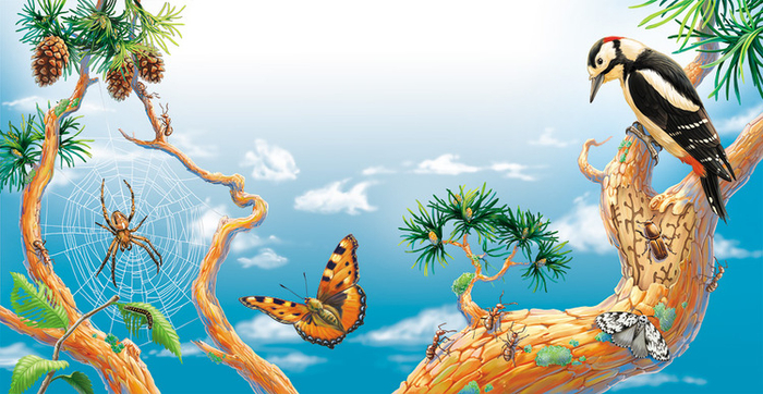 Сосновый лес