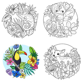 Раскраски для взрослых