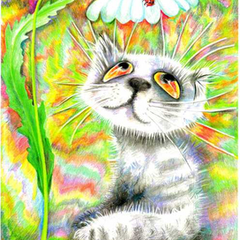 Моя ромашка