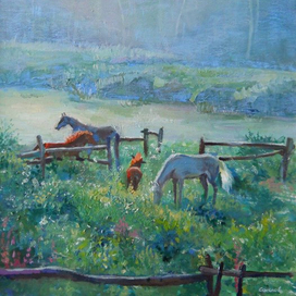 Утро в Камышах