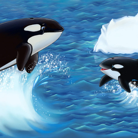 Серия "Любимая мама", киты