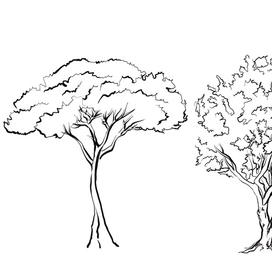 Weekends on the island 