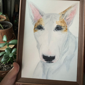 Портрет питомца