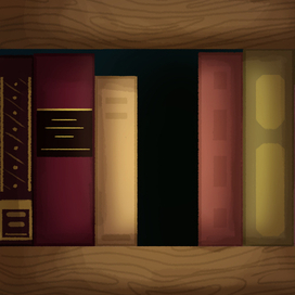 Книжная полка