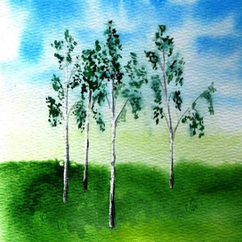 Самосейки березки