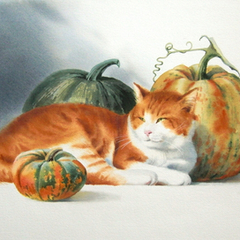 На солнышке