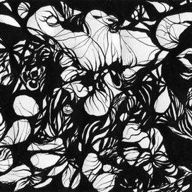 Могучий орёл