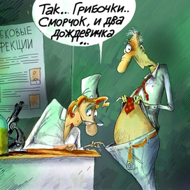 из жизни грибов