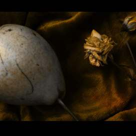 без названия