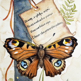 Бабочка. Сонет №83 У. Шекспира