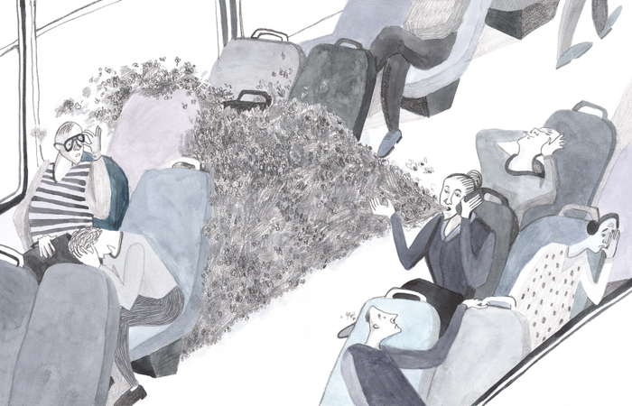 Типология пассажиров транспорта