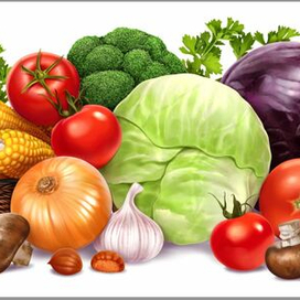 Овощи
