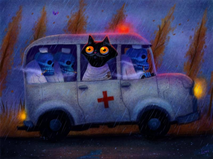 " Кошка Мурка едет в дурку" картинка из "доброй серии" 2017