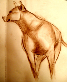 соседский пес