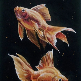 Золотые рыбки