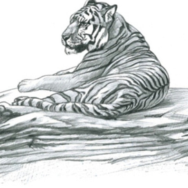 Прорисовки для обложек-2, карандаш