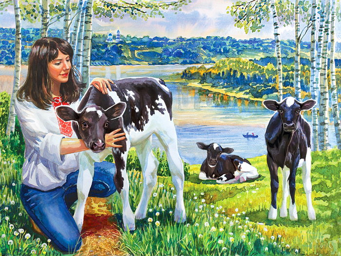 Телята. (для каталога)