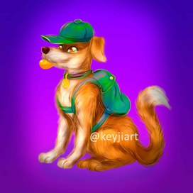 Пес-путешественник Джек