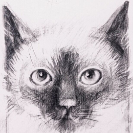 "Портрет Васика",б.,кар.,12х10,©ОК,2020.