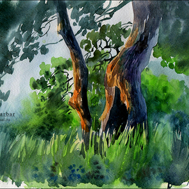 Дерево вечером