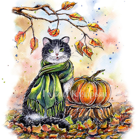 Осенний котик