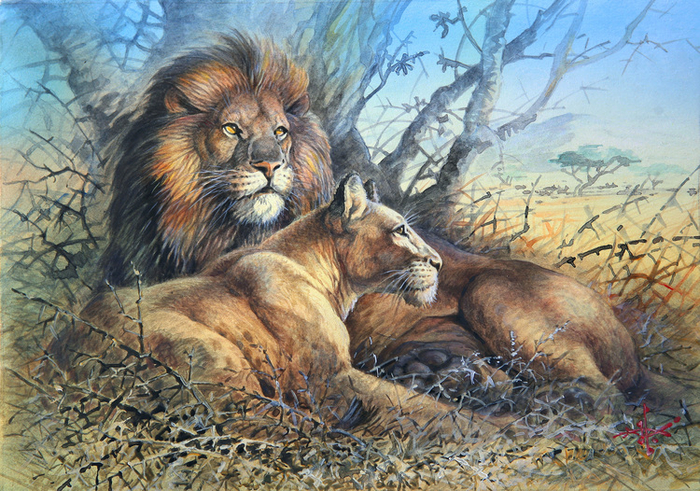 Любимая жена Лео...