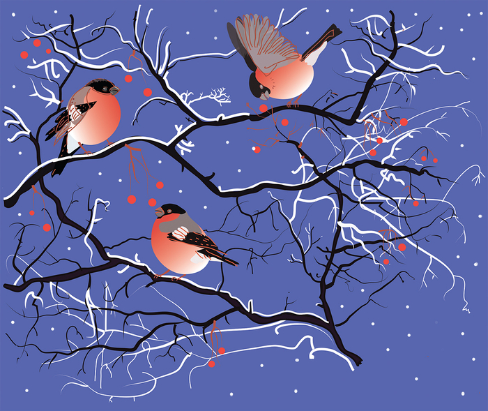 Снегири/первый снег