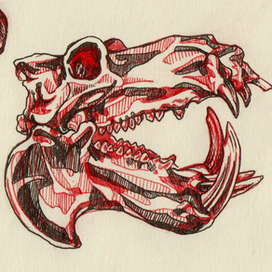 Три черепушки