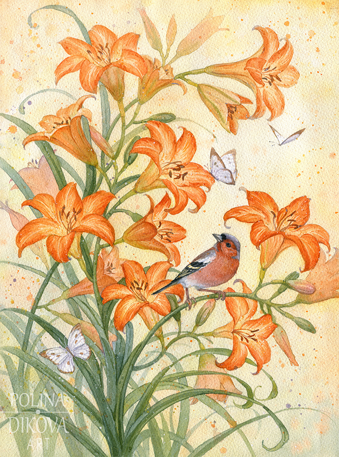 О чем поёт лилейник